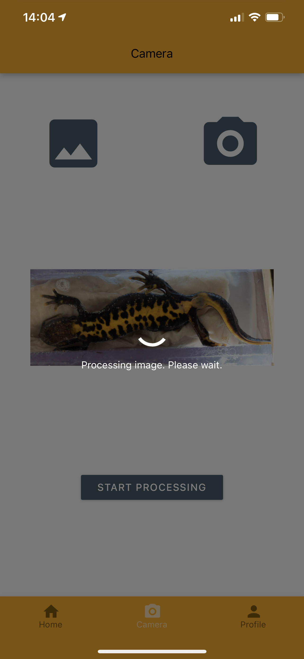 images/processing.png