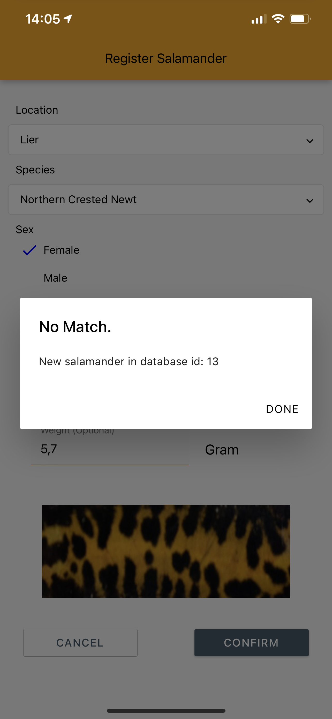images/no_match.png